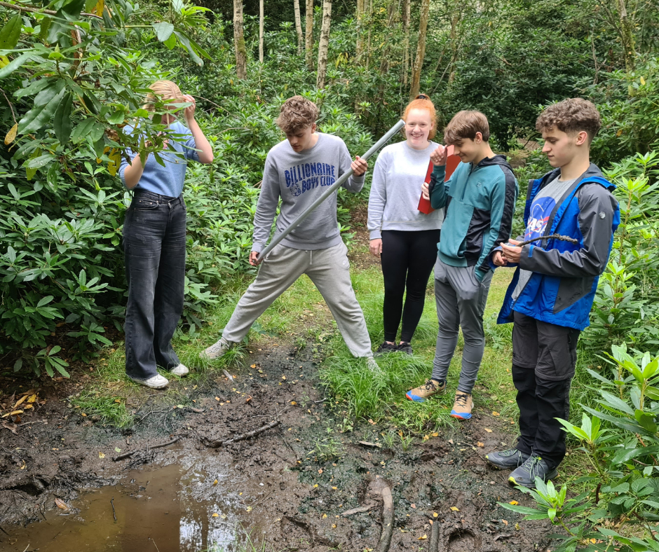 students exploring wood